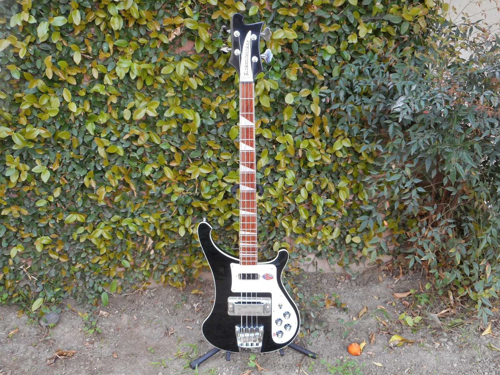 Rex and the Bass: 2015 Rickenbacker 4003 Bass Review