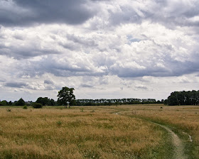 Landscape HD Wallpaper 