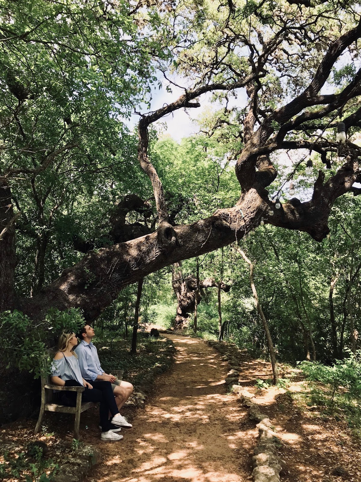Texas | Austin City Guide