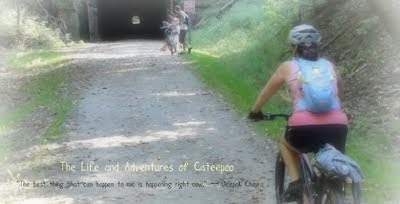The Life and Adventures of Cateepoo