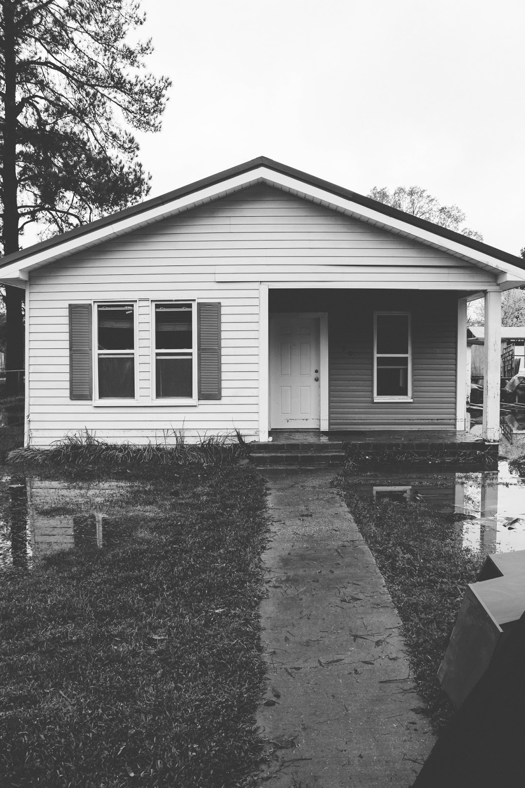 the tiny white house.: 2017