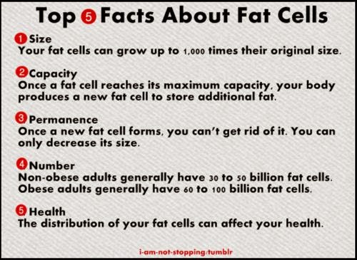 weight loss - top 5 fact about fat cells