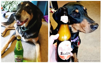 rescue dogs posing with beer for national beer day