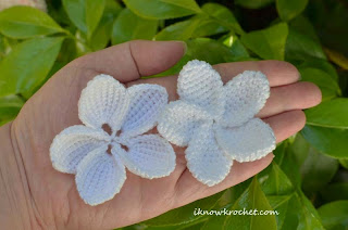 two crochet plumeria flowers