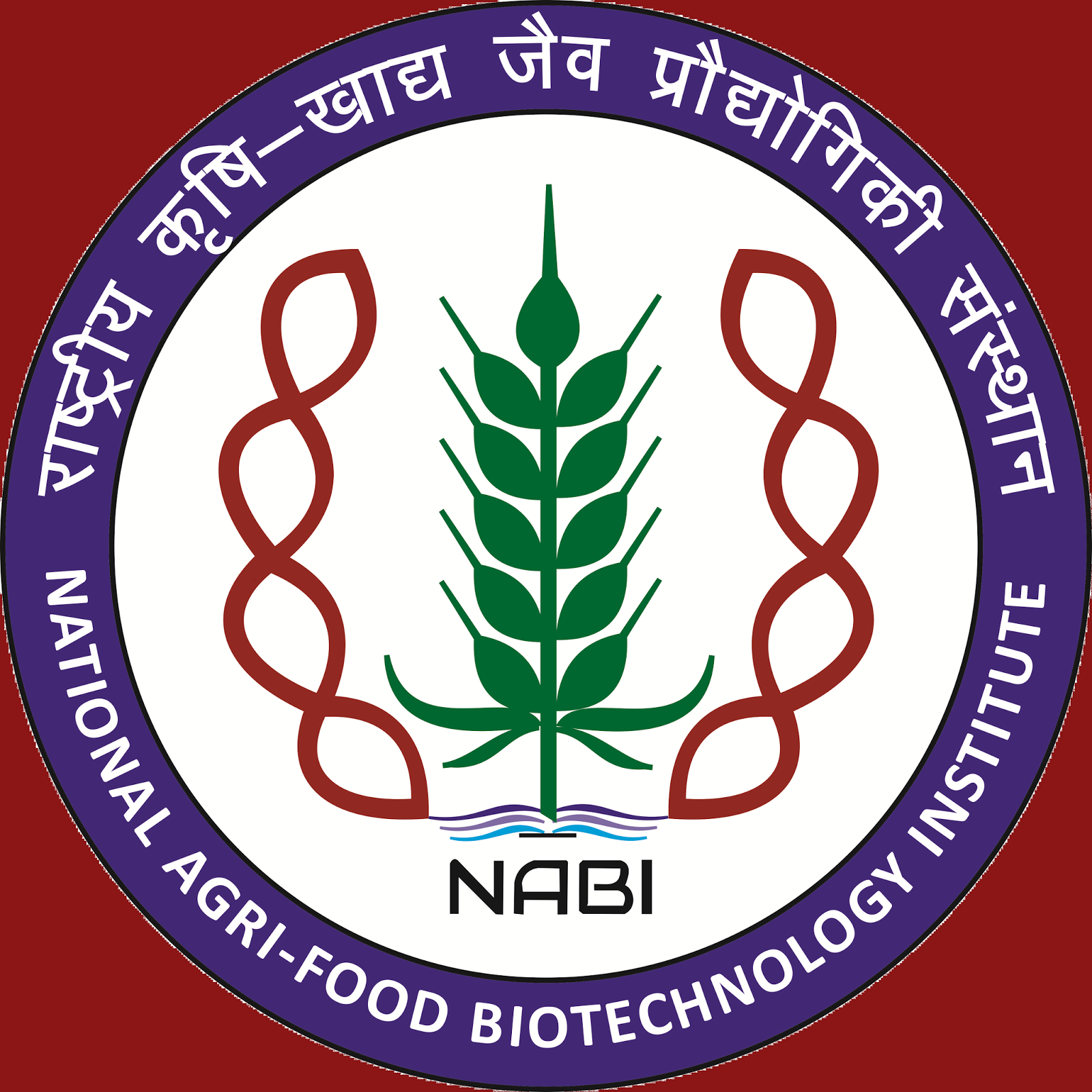 NABI Mohali Scientist Jobs 2017
