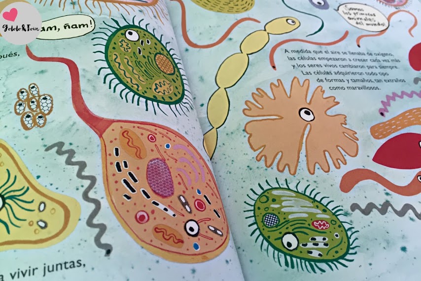 Cómo surgió la vida en la Tierra según Desde entonces hasta ahora SM SM-desde-entonces-hasta-ahora-libro-infantil-cuento-ciencia-evolución