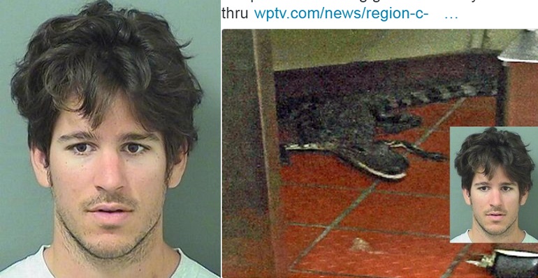 Florida Man Arrested For Throwing Alligator Into Wendy's Drive-Thru