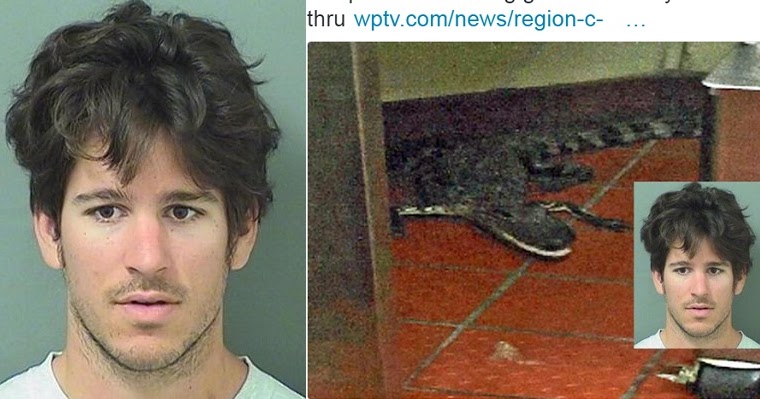 Florida Man Arrested For Throwing Alligator Into Wendys Drive Thru