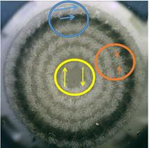 Mr Justice Carr S L Oreal V Rn Ventures Decision Bristles With