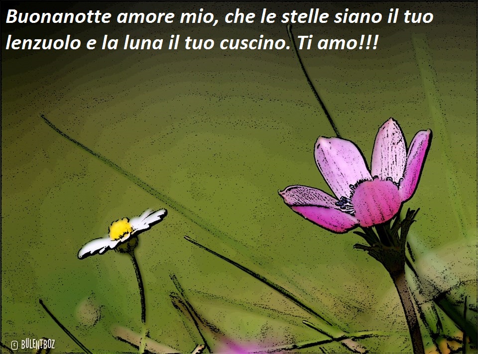 FRASI PER AUGURARE LA BUONANOTTE - MESSAGGI DOLCI