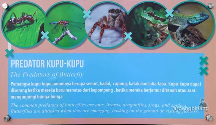 scientia square park tangerang