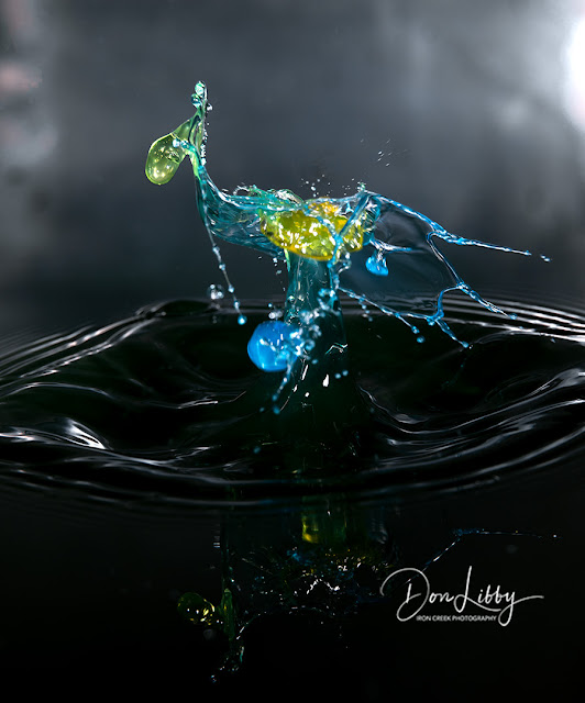 Iron Creek Photography® Splash Art Photography with a Fujifilm GFX 50s