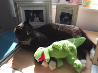 Cat with dinsoaur toy