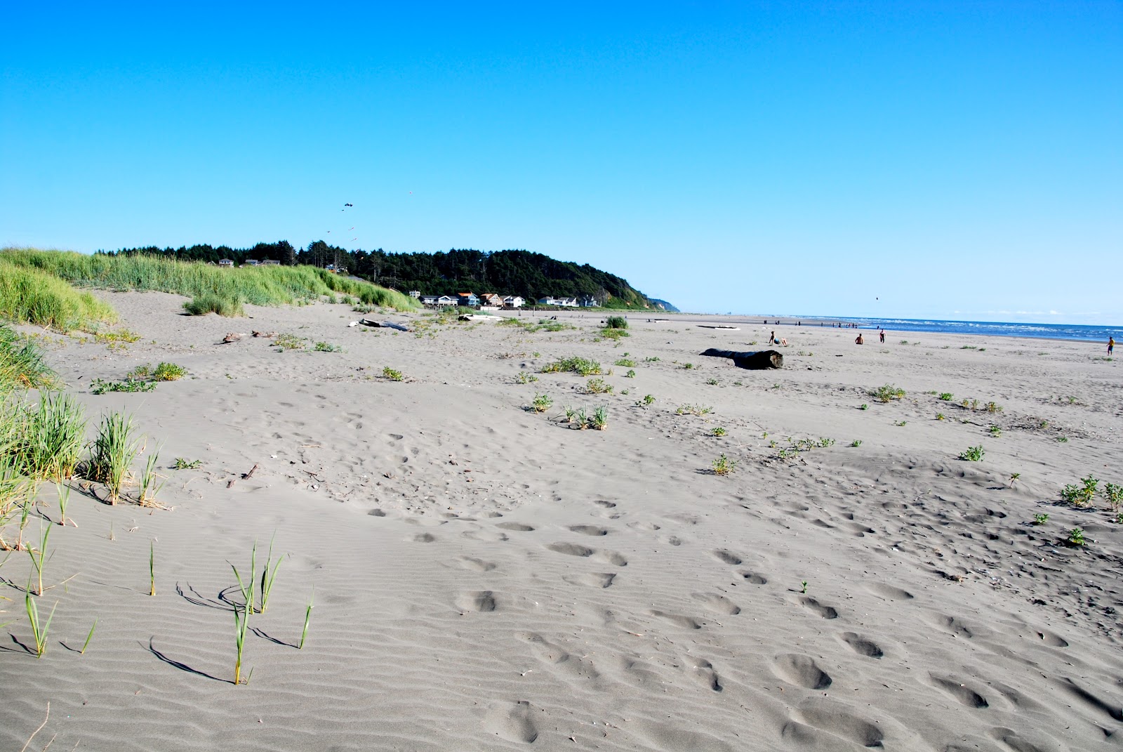 Wanderlust Traveler: Pacific Beach, Washington (Lodging, Dining, and 