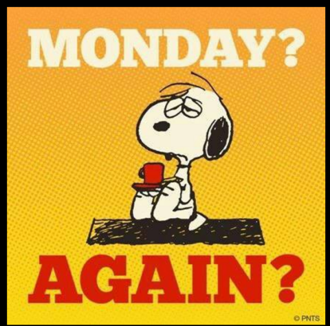 Itaca Lettere Da Un Lunedi Mattina