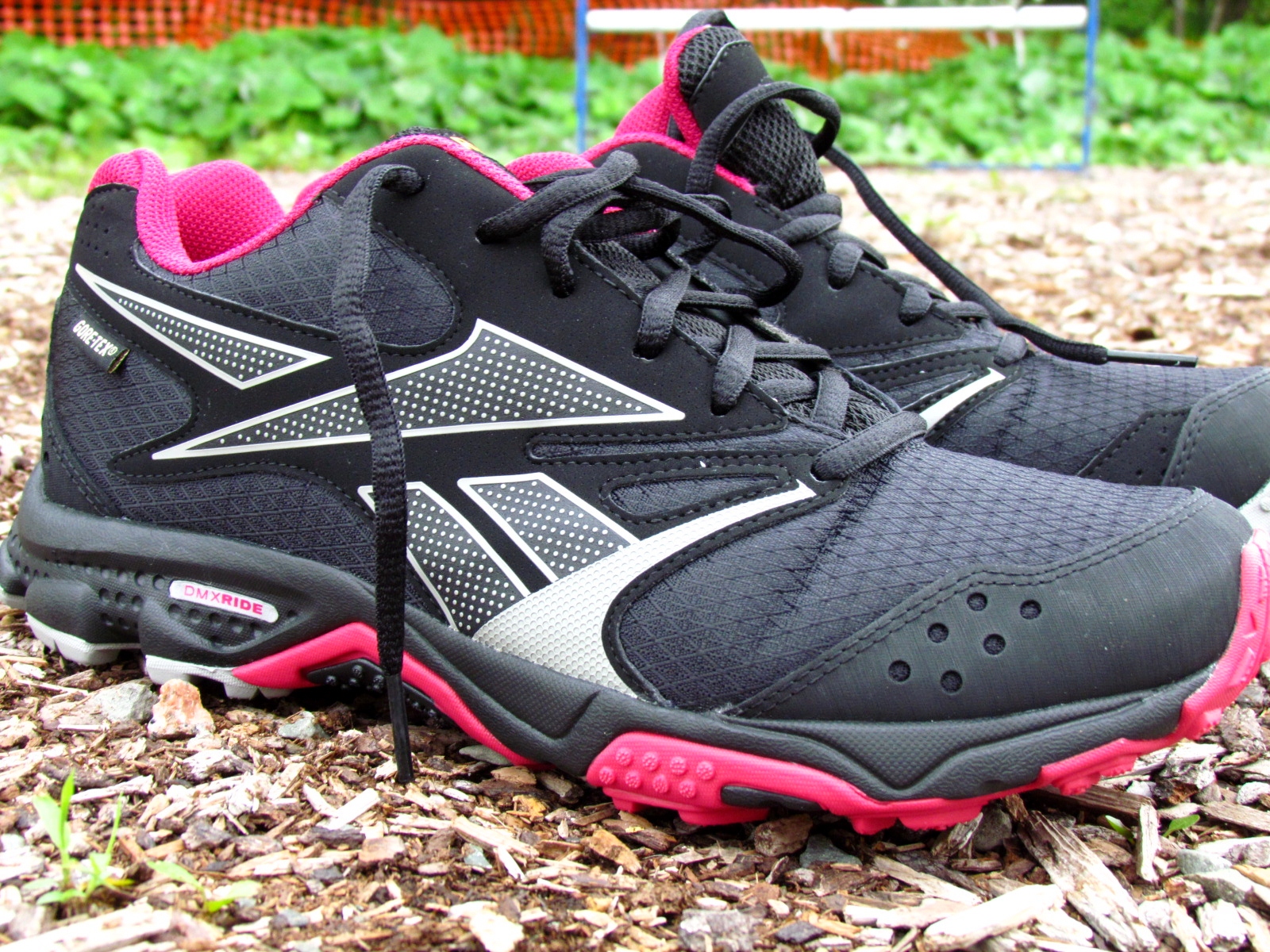 Paws For Peace New Agility Shoes!