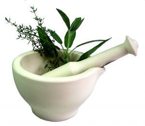 white mortar and pestle with green herbs