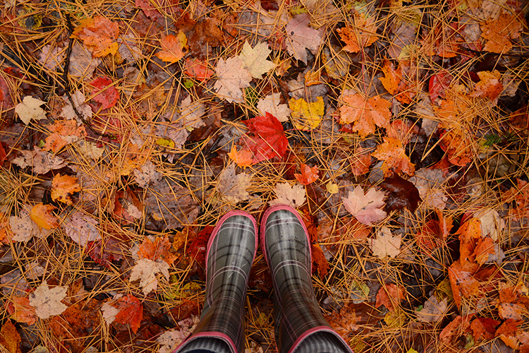 Fall | My Darling Days Fall | My Darling Days