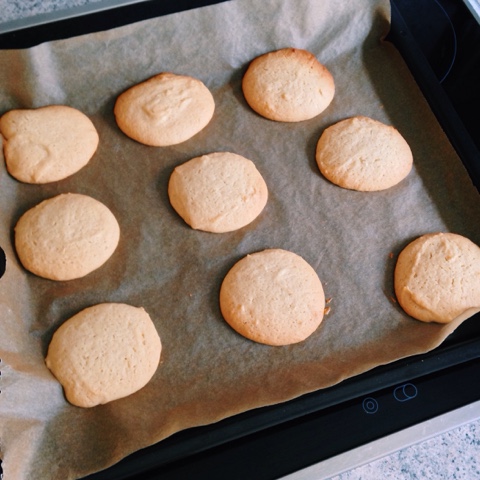 German Honey Cookies