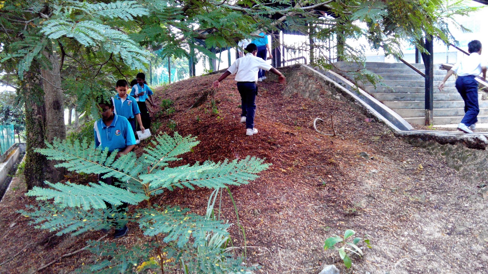 aktiviti program bebas denggi di sekolah aktiviti program bebas denggi di sekolah