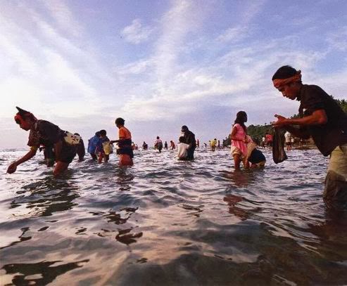 Ikut Festival Bau Nyale Langsung Dari Pantai