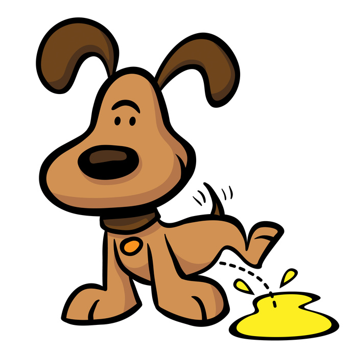 Klartextquickie Uriniert uns ein Hund aus Protest vor die Füße?
