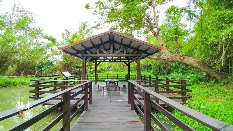 小琉球IG景點|竹林生態濕地公園|碧雲寺~有日本嵐山竹林的fu