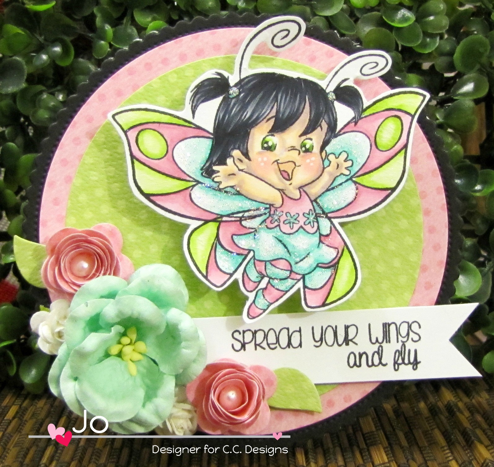 Spread your wings and fly essay 03 image