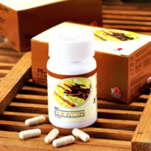 Cordyceps Capsule