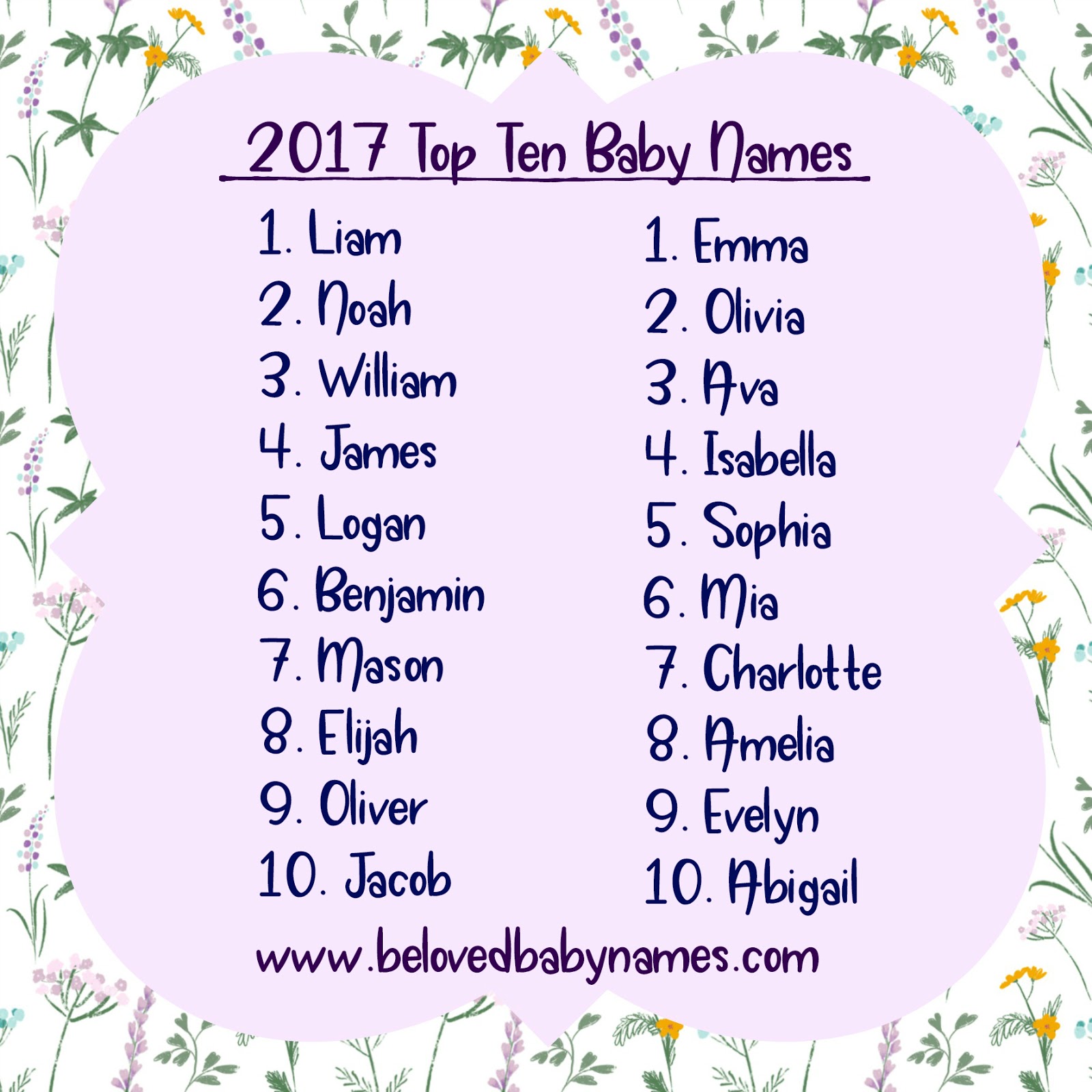 beloved baby names surprises in the 2018 top ten names