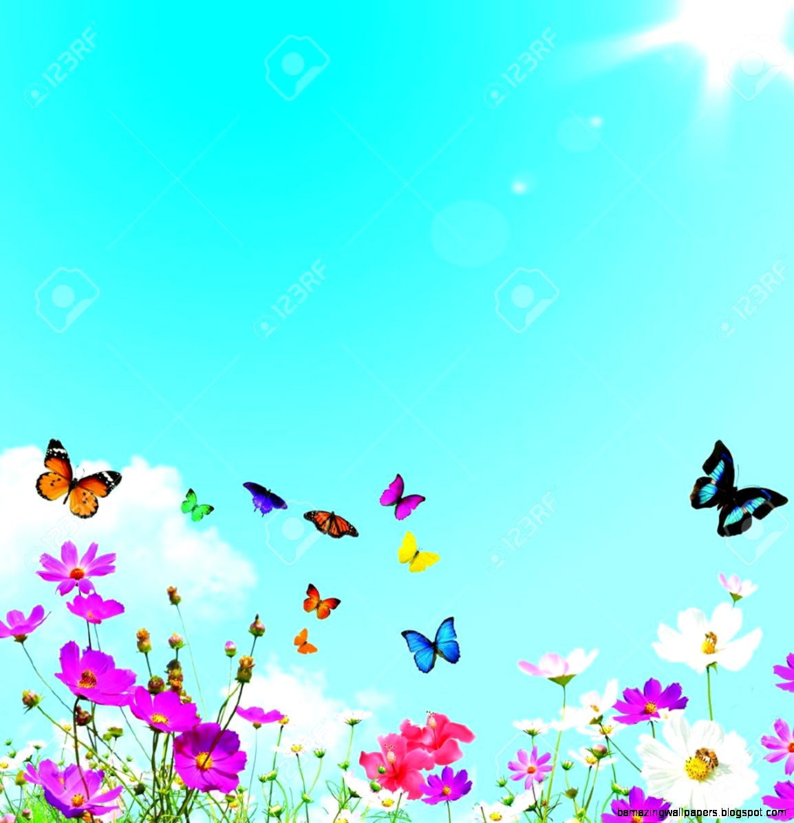 Spring Flowers And Butterflies Background