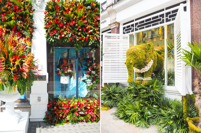 Chelsea in Bloom Chelsea in Bloom