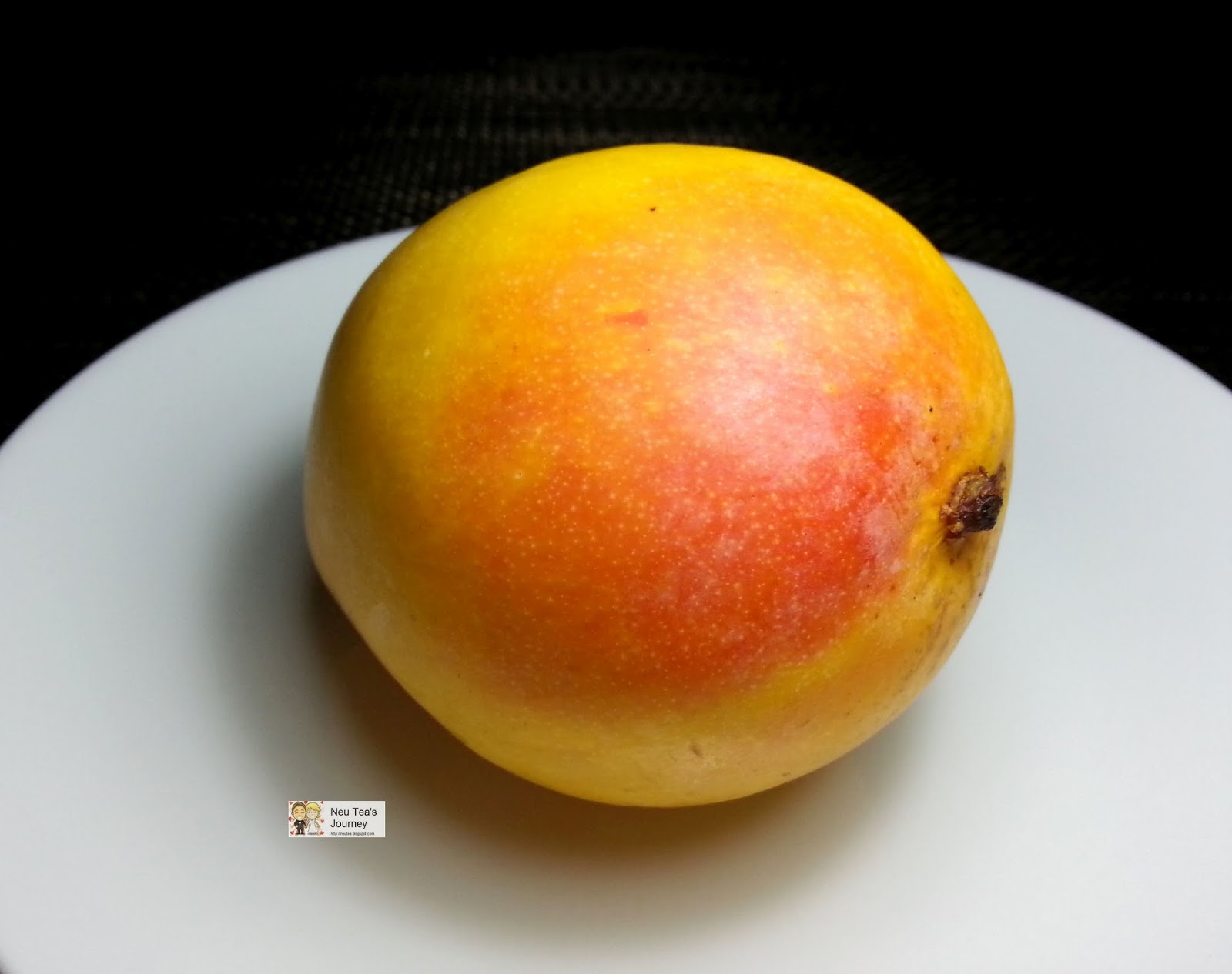 Neu Tea's Journey Singapore Trip Mango, Cherry Apple, Shopping