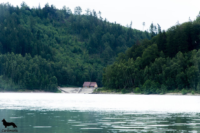 jezioro w górach jezioro w górach, podróże z psem, z psem w podróży, wakacje z psem, urlop z psem, z psam na wakacjach, z psem nad jeziorem, z psem w górach, pies w górach, welsh corgi, welsh corgi cardigan, cardigan, cardimania, corgi, pies, psy, sudety, karkonosze, góry, wakacje