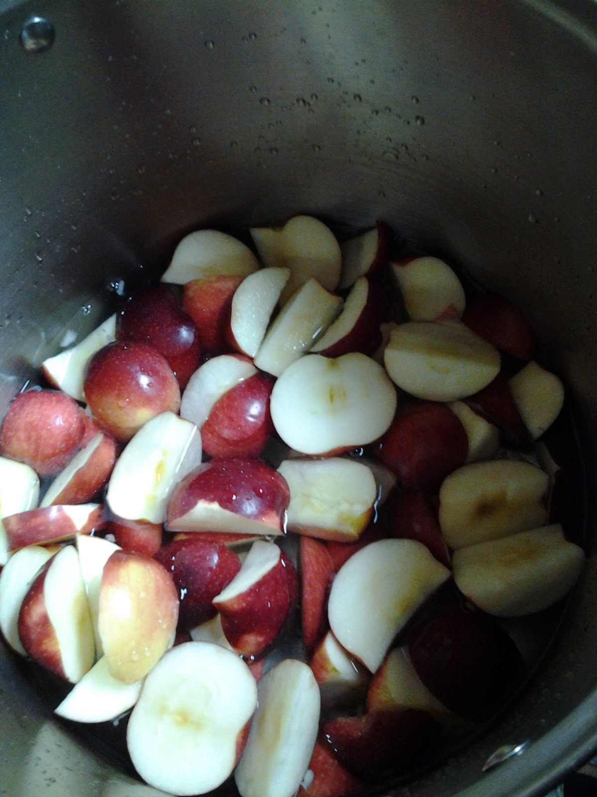 Look What I Made Apple Leather