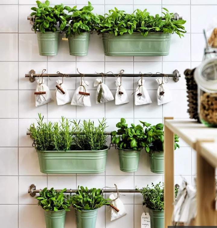 13+ Taman Dalam Rumah Ukuran Kecil, Info Penting!