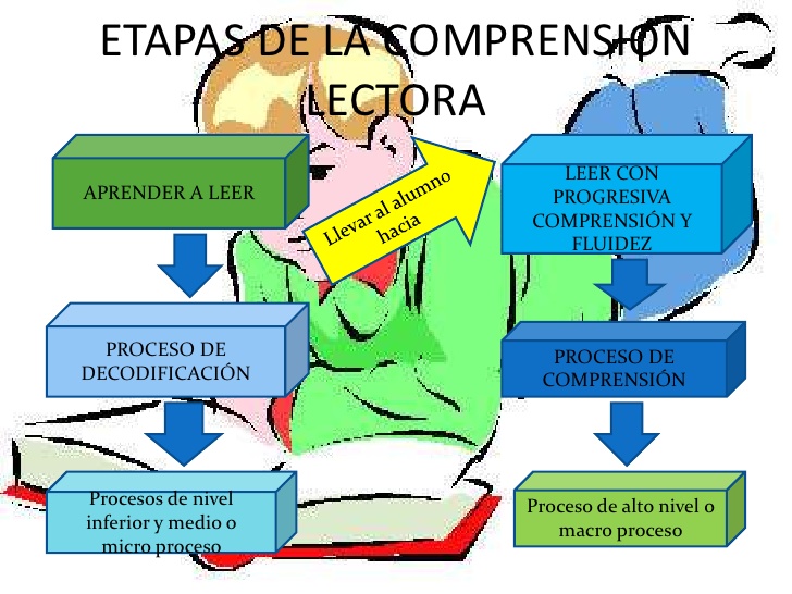 COMPRENSIÓN LECTORA: COMPRENSIÓN LECTORA