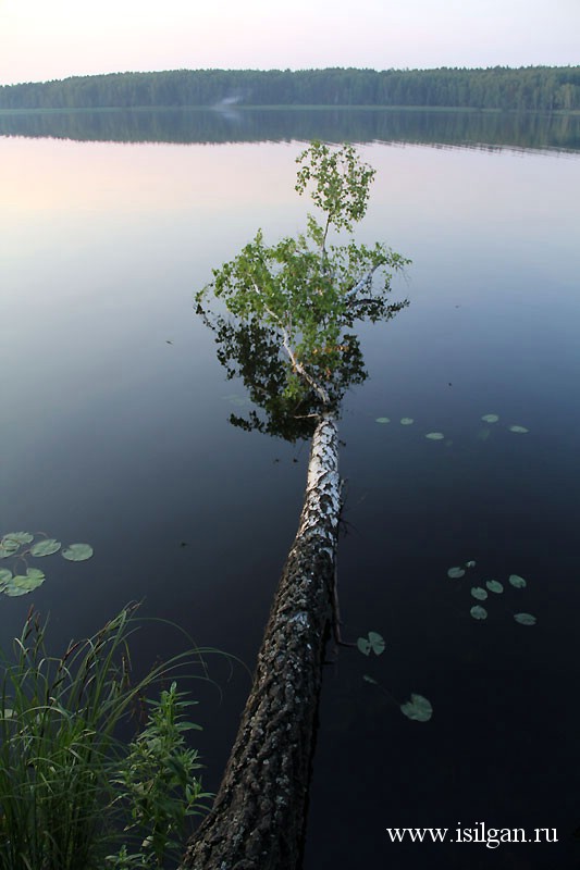 Озеро Тайги. Челябинская область