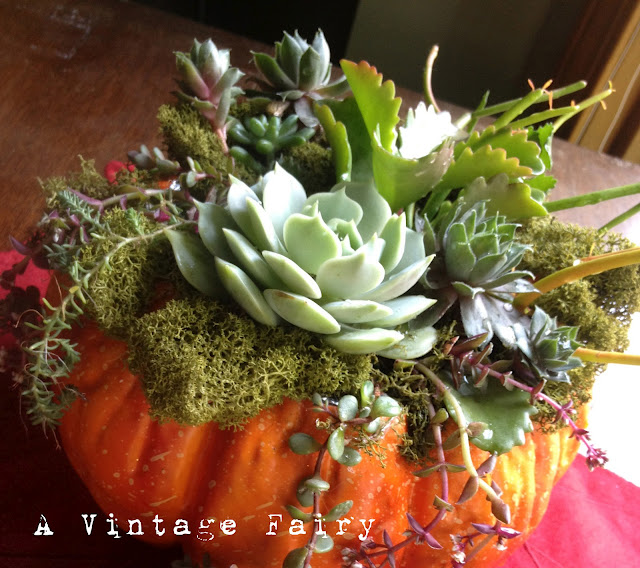 30 Plus Featured Pumpkin Ideas for Halloween and Fall - Fox Hollow ...