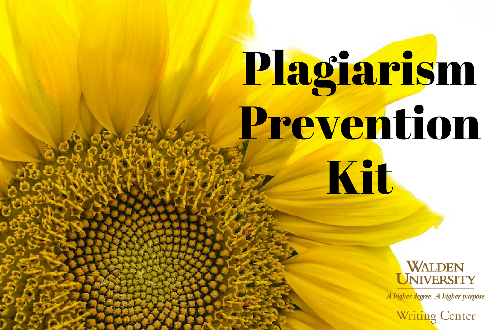 Meet the Walden University Writing Center's Plagiarism Prevention Kit