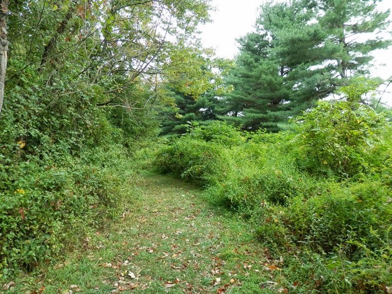 Southeastern PA Hiking Peace Valley Park