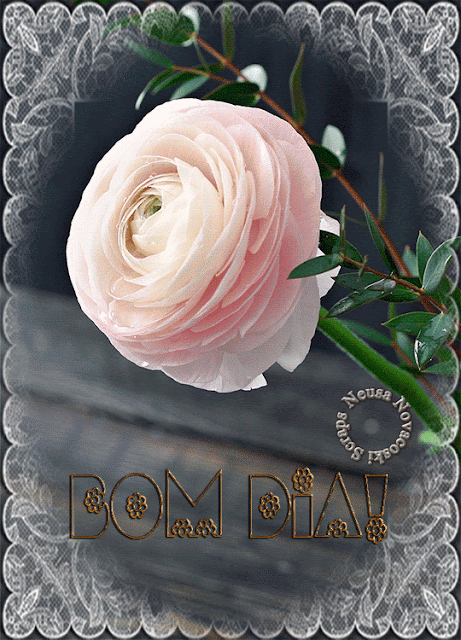 desafio-rosa-pingando.gif