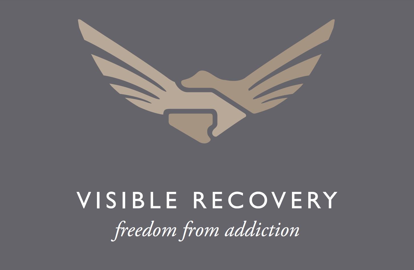 Visible Recovery 