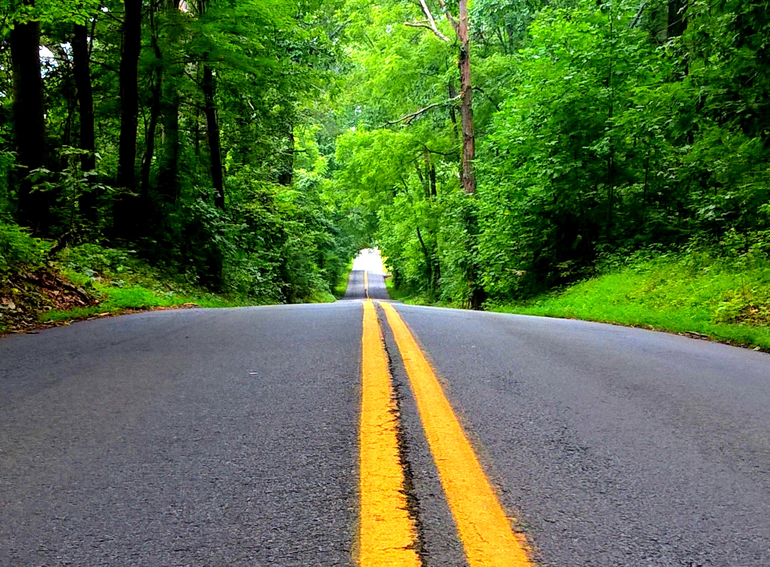 Ben's Journal The Long Winding Road