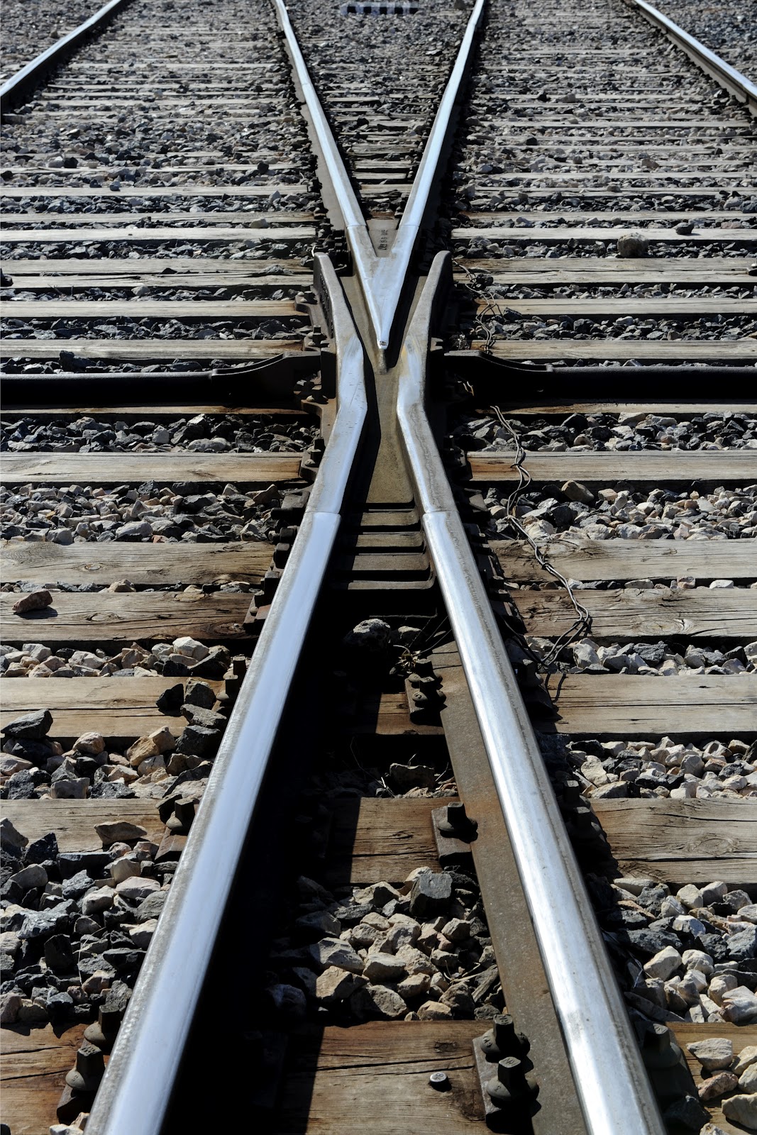 FOTOMERCH: Composición fotográfica/ Photographic Composition