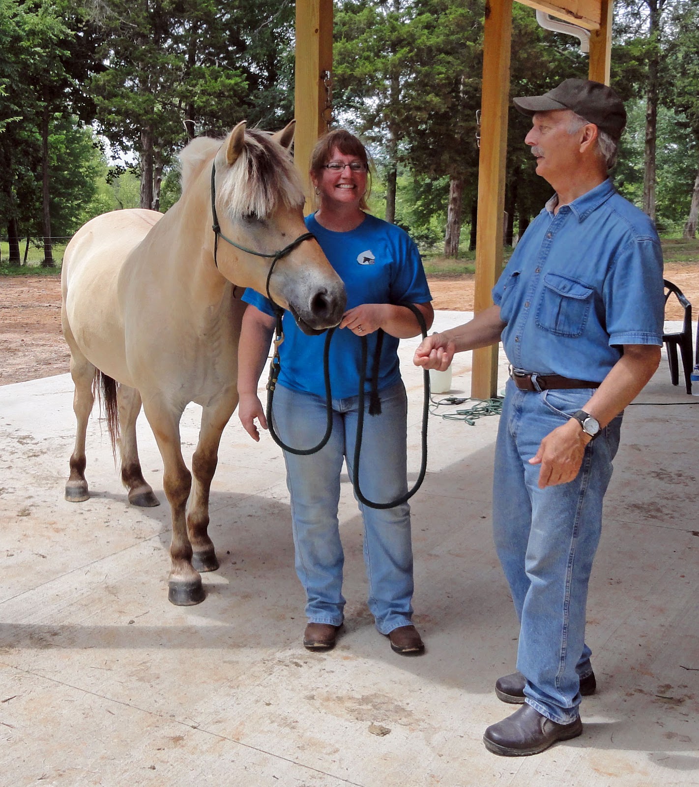 Mustang Dreams.... Trimming hooves with an angle grinder...