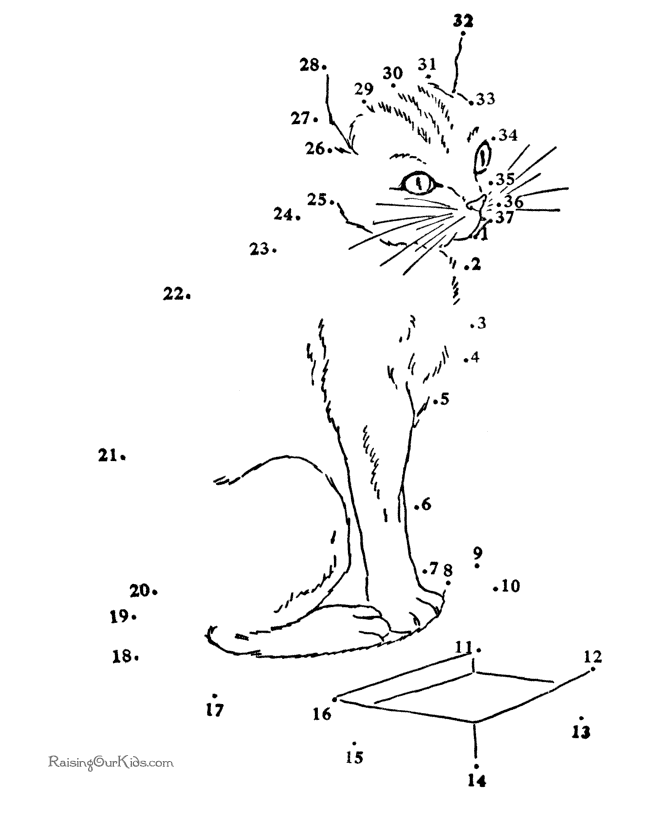 QUIZ PHOTOS, PUZZLES, QUIZ QUESTIONS, STRANGE QUESTIONS, STRANGE