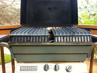 2-zone grilling with GrillGrates on Broilmaster grill
