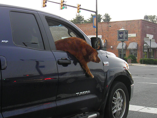 Yahweh Sisters: Summer Time