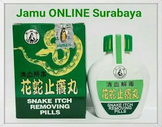 https://jamuonlinesurabaya.blogspot.com/2018/05/jual-snake-itch-removing-pills-ramuan.html
